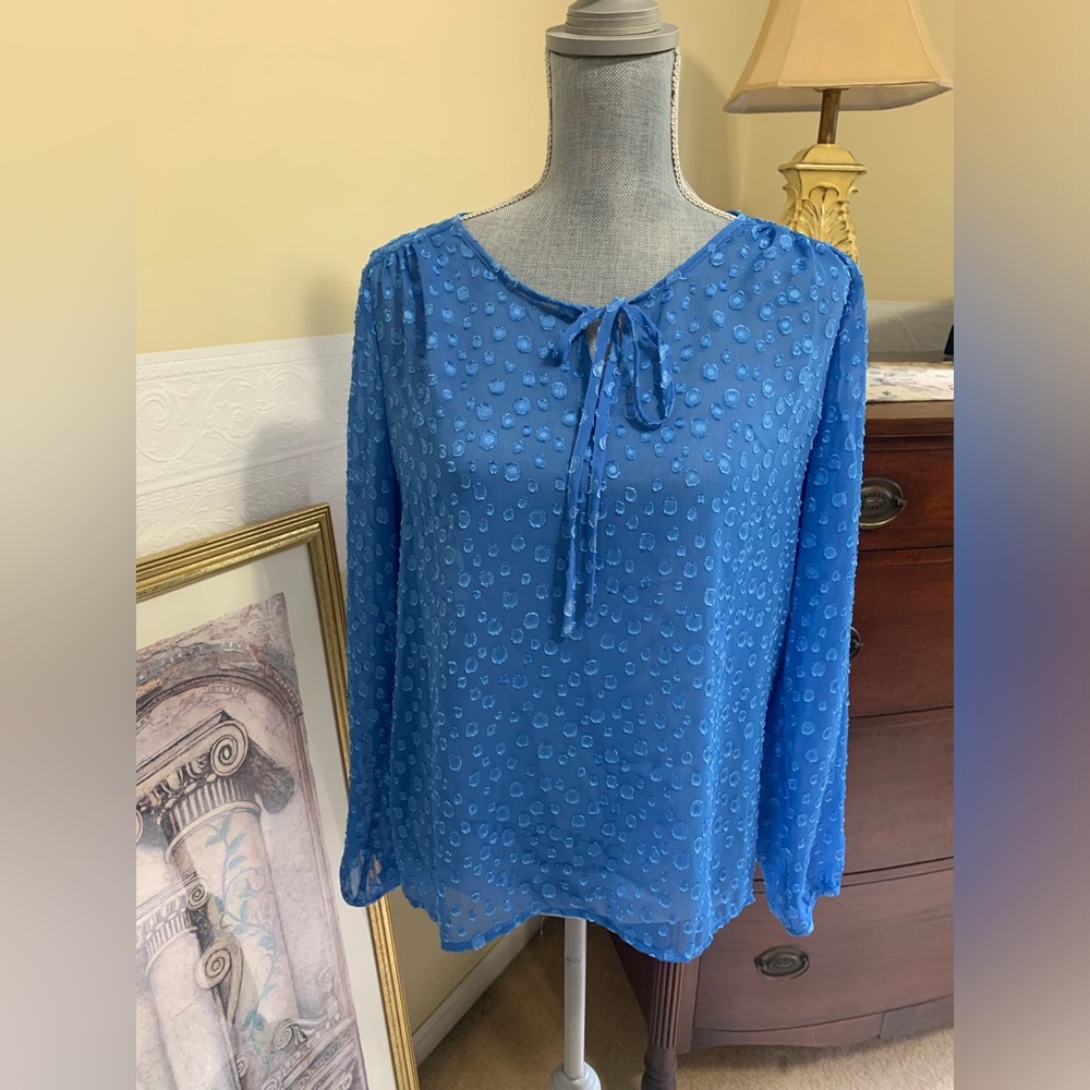 J-Crew Sheer Embroidered Polka Dot Long Sleeve Blouse Woman’s Size Medium